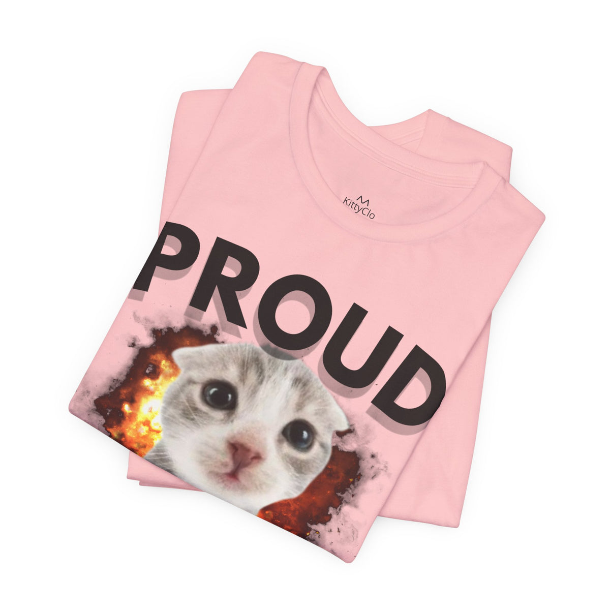 "PROUD HATER" Tee - KittyClo
