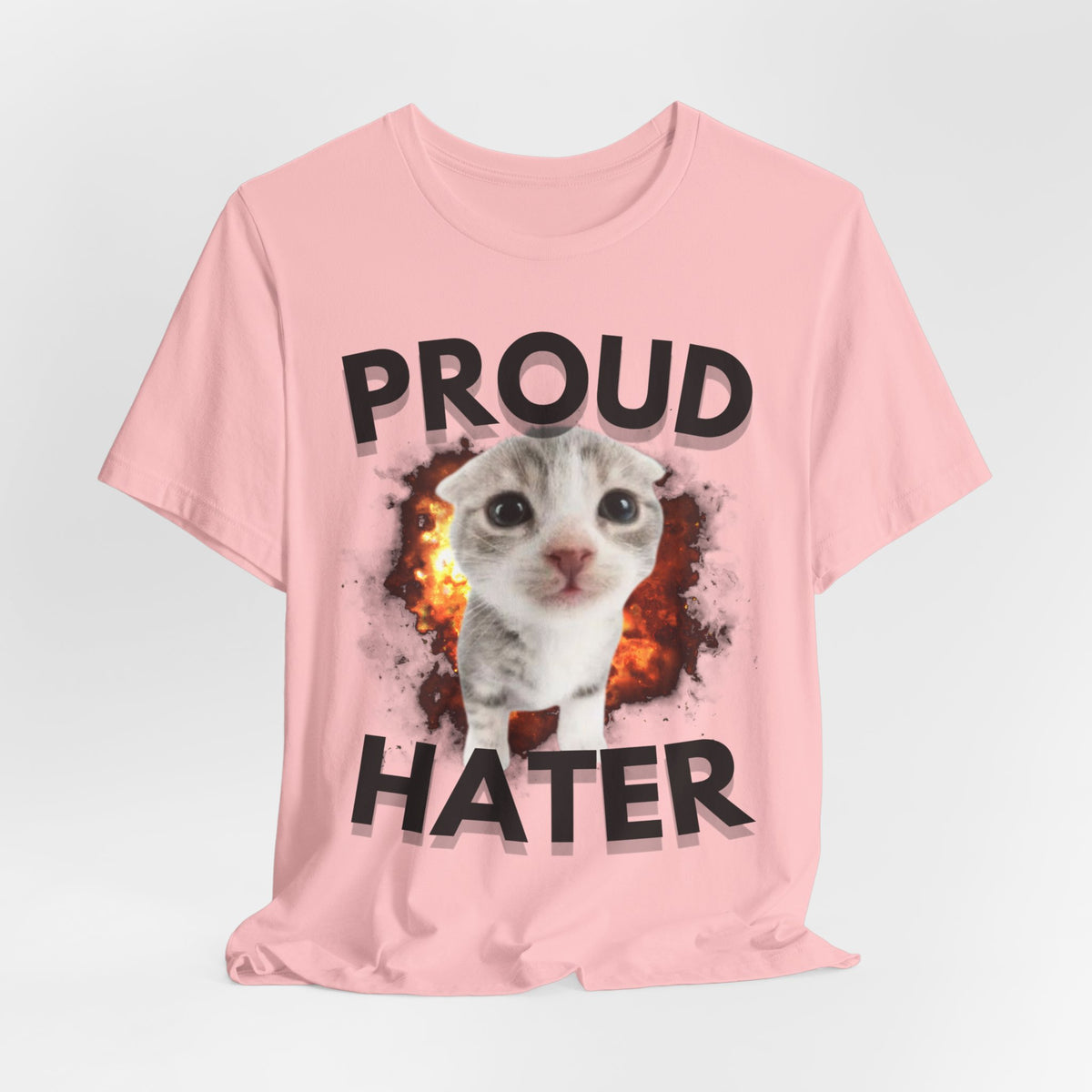 "PROUD HATER" Tee - KittyClo