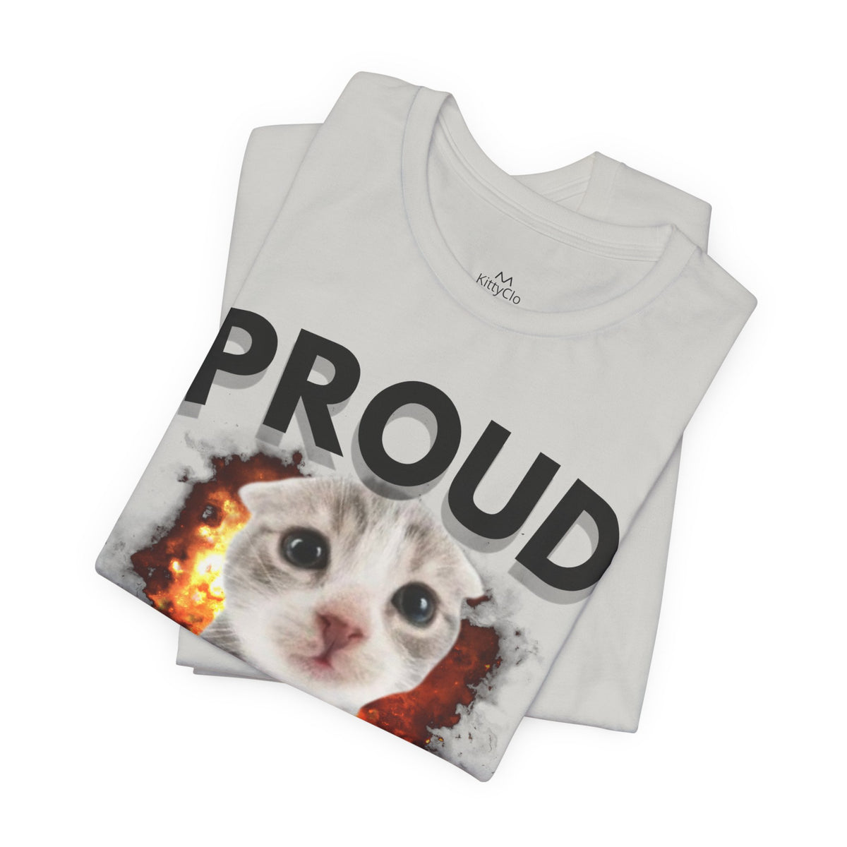 "PROUD HATER" Tee - KittyClo