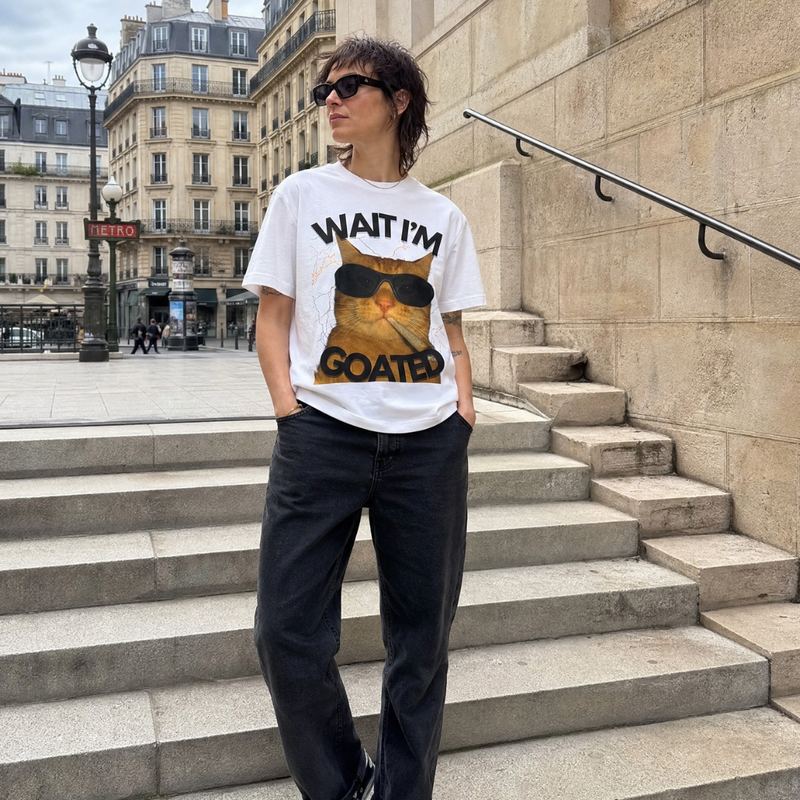 Someone on stone steps by a Paris metro entrance, wearing the white goated tee.
